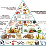 nova pirâmide nutricional harvard
