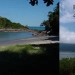 cebimar