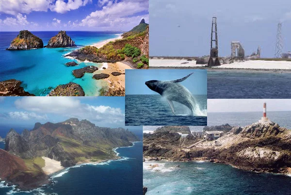 Fotos das ilhas oceânicas brasileiras (em sentido horário a partir da esquerda superior): Fernando de Noronha, Atol das Rocas, Penedos de São Pedro e São Paulo, Trindade e baleia jubarte de Abrolhos ao centro.