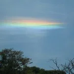 irisacao