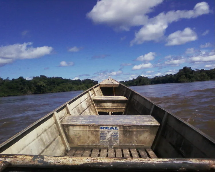 Voadeira subindo o rio Machado.
