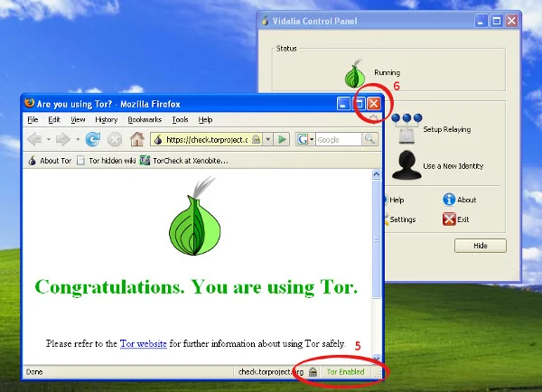 Tela de certificação que você está usando o Tor com o Firefox no Windows.