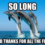 dolphin mysql hitchhiker