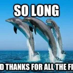 dolphin mysql hitchhiker