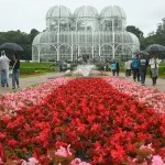 curitiba jardim