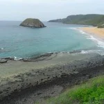 fen