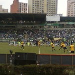 palmeiras