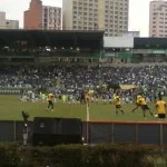 palmeiras