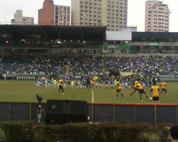 palmeiras