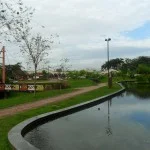 riobranco