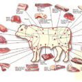 Partes da carne bovina. Adaptado de: slides da disciplina Técnica Dietética I (curso de Nutrição e Metabolismo, Faculdade de Medicina de Ribeirão Preto/USP)