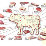Partes da carne bovina. Adaptado de: slides da disciplina Técnica Dietética I (curso de Nutrição e Metabolismo, Faculdade de Medicina de Ribeirão Preto/USP)