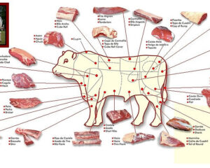 Partes da carne bovina. Adaptado de: slides da disciplina Técnica Dietética I (curso de Nutrição e Metabolismo, Faculdade de Medicina de Ribeirão Preto/USP)