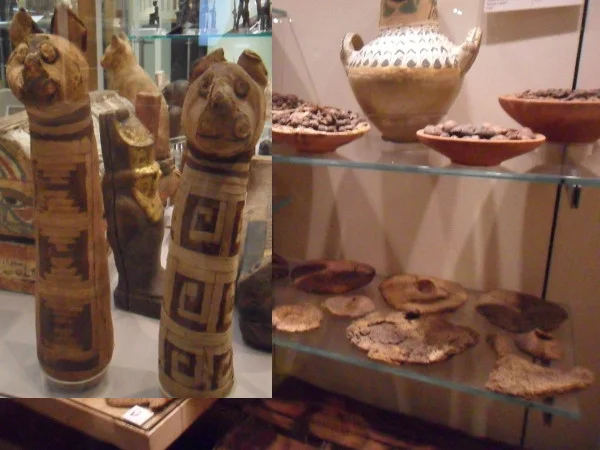 Múmias de gatos e comida desidratada (pães, gordura, frutas). Fotos: ViniRoger.