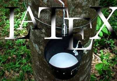 Extração de látex na seringueira... não, não é esse latex.