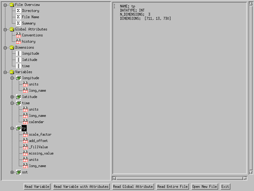 Exemplo de arquivo netCDF visualizado no IDL com o comando nCDF_Browser do IDL