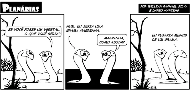 Fonte: Humor com Ciência.