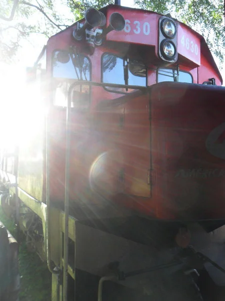 Locomotiva da ALL. Foto: ViniRoger.