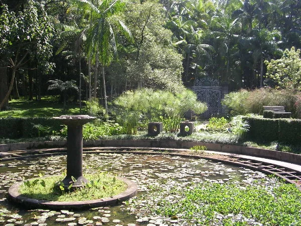 JdBotanico