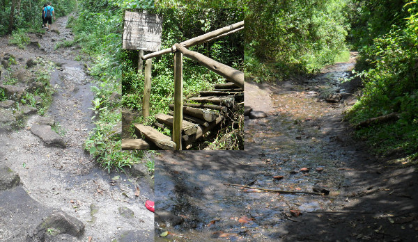 Trechos da trilha para a pedra redonda. Fotos: ViniRoger.