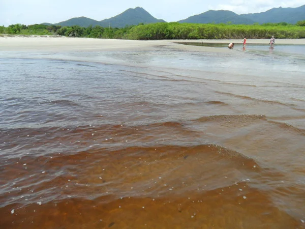 Ilha do Cardoso - Praia do Itacurussá (ou Pereirinha ou Perequê, devido ao rio que desemboca na praia) - o rio tem a água avermelhada por causa da decomposição de matéria orgânica, de raízes e de folhas. Foto: ViniRoger.