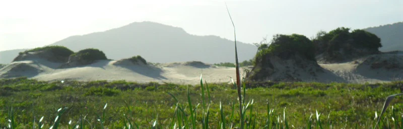 (FOTO) Dunas do Araçá - onde acaba o asfalto. Foto: ViniRoger.