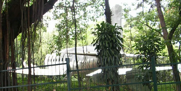 DC-3 em São Bernardo do Campo. Foto: ViniRoger