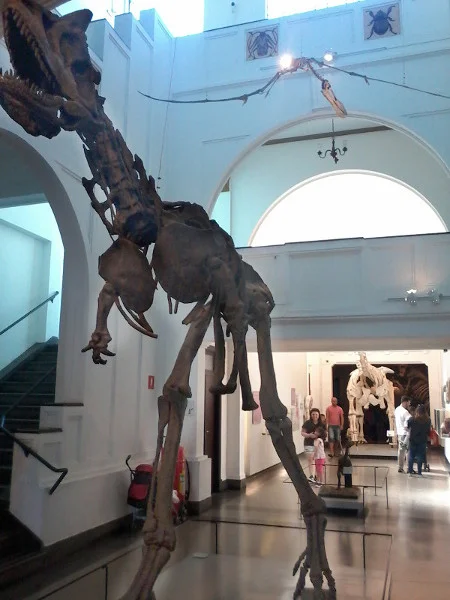 Reconstituições de esqueletos de dinossauros no Museu de Zoologia da USP. Foto: ViniRoger