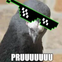 pomba