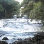 torrent