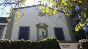 conceicao instituto