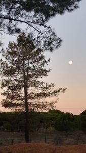 Super lua na manhã de 18 de outubro de 2024 em Faro (Portugal), a maior do ano. Foto: ViniRoger