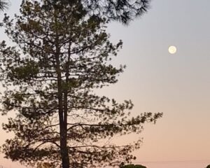 Super lua na manhã de 18 de outubro de 2024 em Faro (Portugal), a maior do ano. Foto: ViniRoger