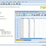 tela spss