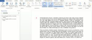 revisao word