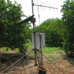 ESALQ ema laranjeiras