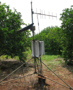 ESALQ ema laranjeiras