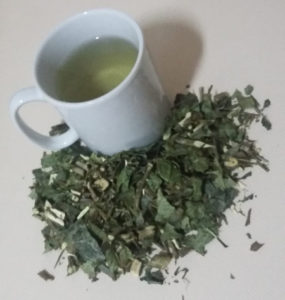 cha espinheira santa