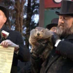 marmota