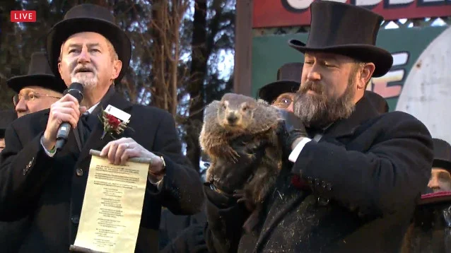 marmota