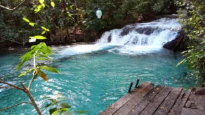 cachoeira formiga