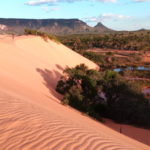 dunas