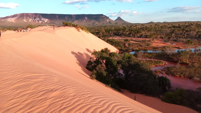 dunas
