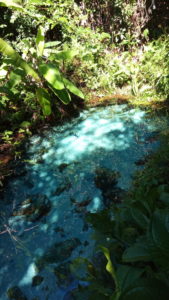 fervedouro buritizinho