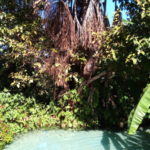 fervedouro riosono