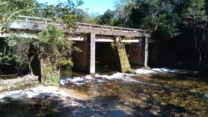 pq neblinas ponte