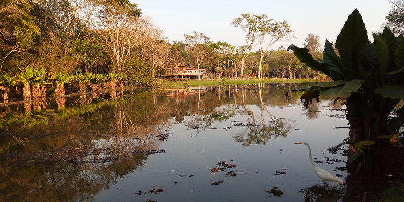 PqBurleMarx lago