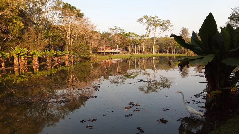 PqBurleMarx lago