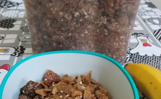 Granola feita com duas receitas abaixo. Foto: ViniRoger