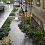 Jardim de chuva (rain garden). Fonte: State College Pennsylvania
